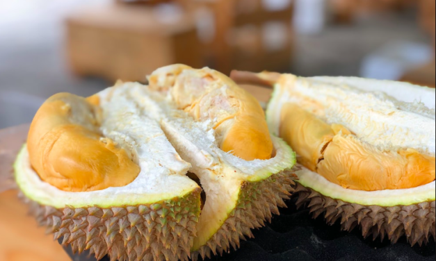 Pasar Durian Di Gelar Di Kebun Raya Bogor