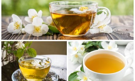 Manfaat Minum Teh Untuk Kesehatan Tubuh Dan Pikiran