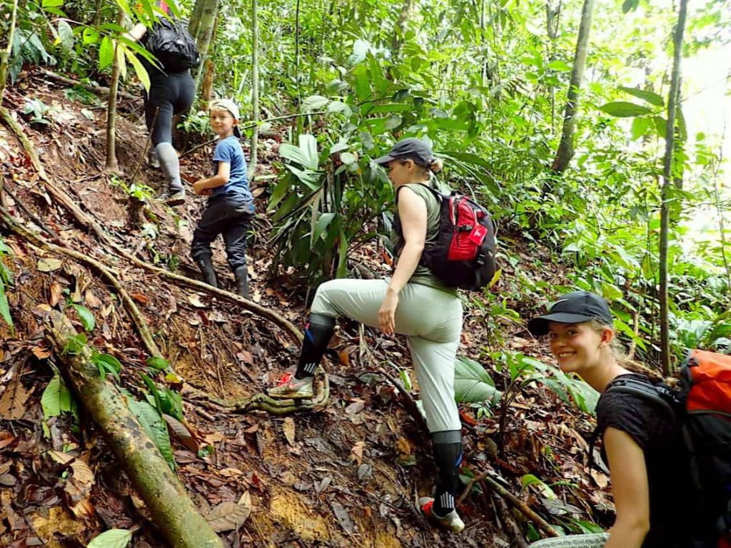 Trekking Di Bukit Lawang Menyusuri Hutan Tropis Sumatera
