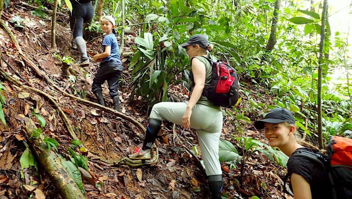 Trekking Di Bukit Lawang Menyusuri Hutan Tropis Sumatera