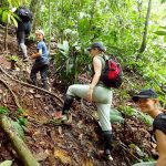 Trekking Di Bukit Lawang Menyusuri Hutan Tropis Sumatera