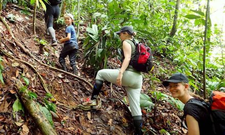 Trekking Di Bukit Lawang Menyusuri Hutan Tropis Sumatera