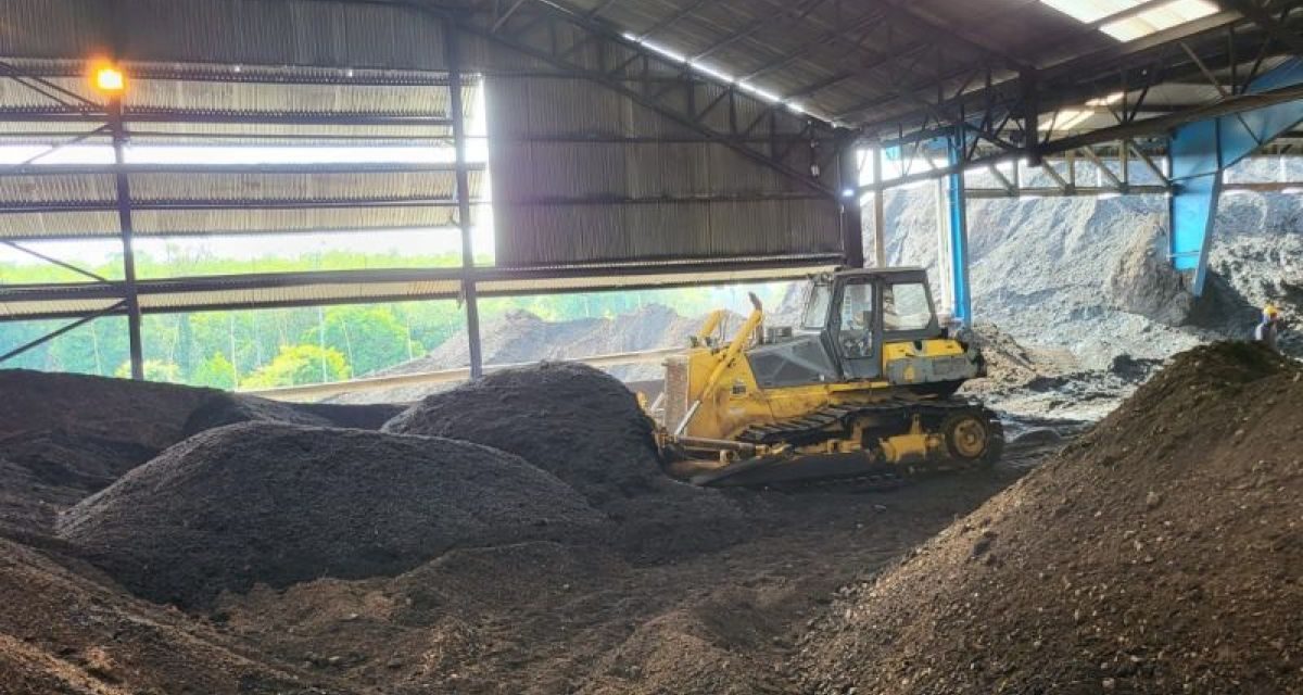 Efisiensi Cangkang Sawit Sebagai Bahan Bakar Biomassa