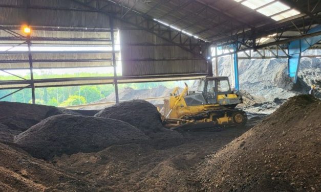Efisiensi Cangkang Sawit Sebagai Bahan Bakar Biomassa