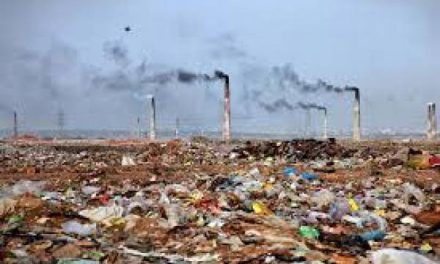 Indonesia Kaya Alam, Tapi Mengapa Lingkungannya Rusak?