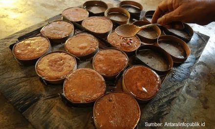 Proses Pembuatan Gula Aren Dari Pohon Hingga Siap Konsumsi