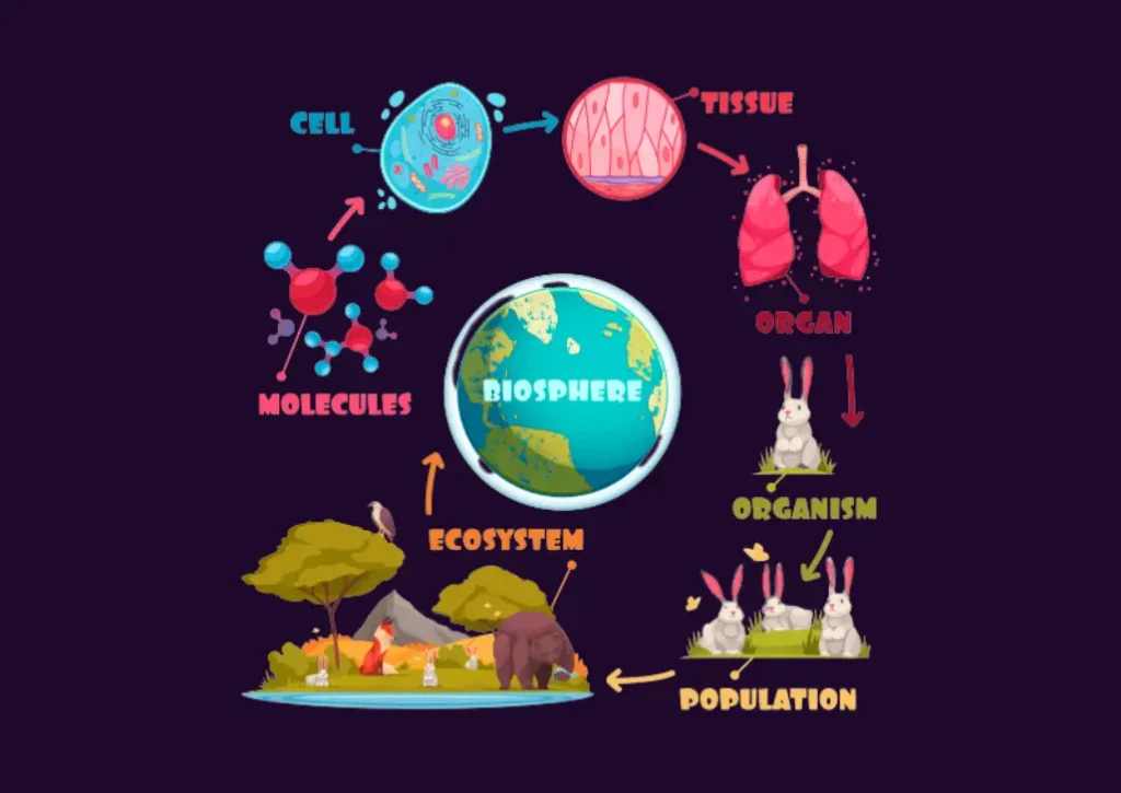 Biologi Dalam Kehidupan: Memahami Ilmu Tentang Makhluk Hidup