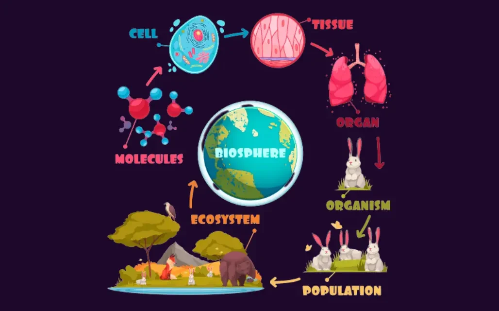 Biologi Dalam Kehidupan: Memahami Ilmu Tentang Makhluk Hidup