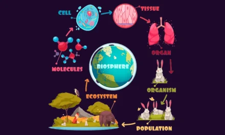 Biologi Dalam Kehidupan: Memahami Ilmu Tentang Makhluk Hidup