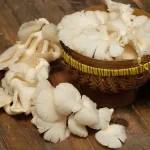 Jamur Konsumsi: Mengenal Jenis Dan Cara Budidayanya