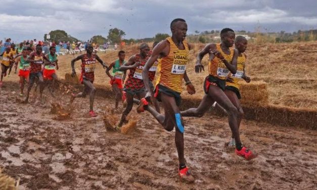 Lari Cross Country: Aktivitas Menantang Untuk Melatih Daya Tahan
