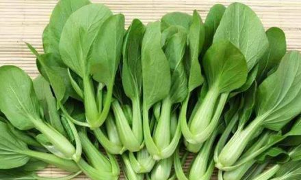 Sayuran Daun: Mengenal Jenis Yang Mudah Ditemukan Di Pasar