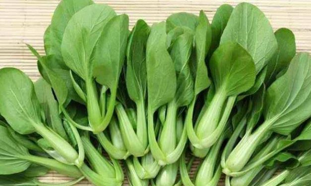 Sayuran Daun: Mengenal Jenis Yang Mudah Ditemukan Di Pasar
