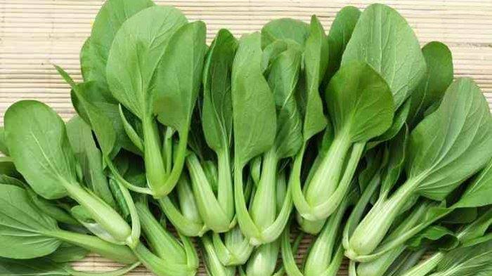 Sayuran Daun: Mengenal Jenis Yang Mudah Ditemukan Di Pasar