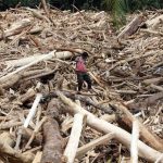 Kehancuran Ekosistem: Risiko Eksploitasi Alam Melampaui Batas
