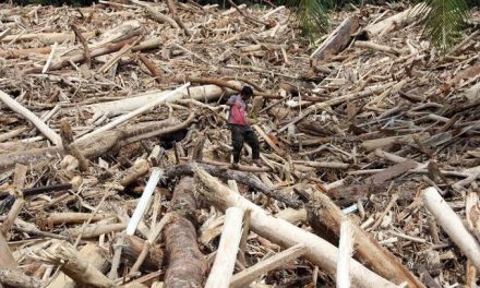 Kehancuran Ekosistem: Risiko Eksploitasi Alam Melampaui Batas