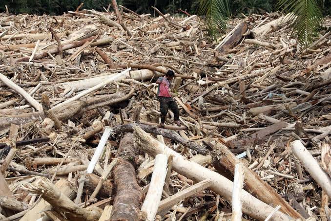 Kehancuran Ekosistem: Risiko Eksploitasi Alam Melampaui Batas