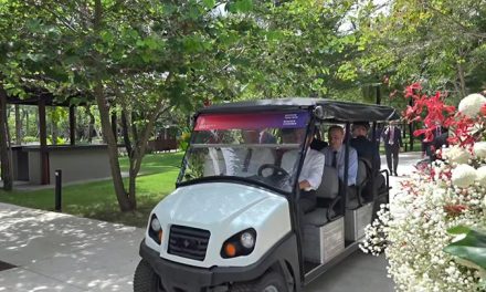 Kendaraan Buggy: Mengenal Jenis, Fungsi, Dan Penggunaannya